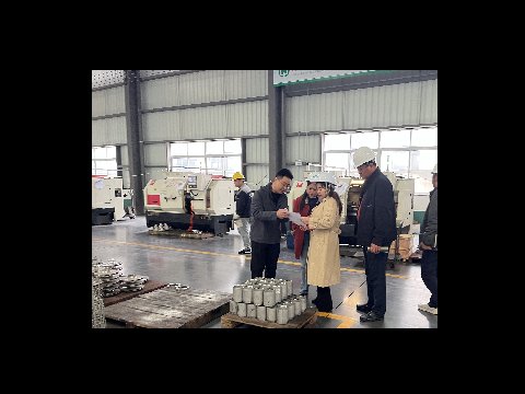 Leaders from Hubei Xingfa Group Visit Lvhuan for Inspection